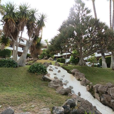 Estudio En Tenerife Con Piscina / Study Flat With Pool Daire San Miguel de Abona Dış mekan fotoğraf